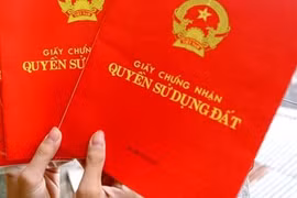 Văn phòng đăng ký đất đai làm ẩu, khiến một gia đình ở huyện Phong Điền bị mất đất