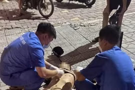 Khởi tố, bắt tạm giam tài xế taxi trong vụ giết người, bắt cóc ở Láng Hạ