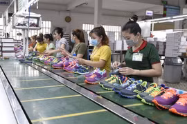 Tận dụng cơ hội từ FTA, doanh nghiệp Việt cần có sự chủ động