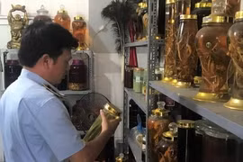 Ẩn họa khôn lường khi tùy tiện sử dụng rượu tự ngâm