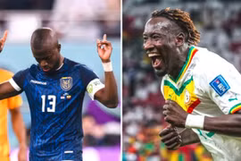 Nhận định Ecuador vs Senegal, 22h ngày 29/11, bảng A World Cup 2022