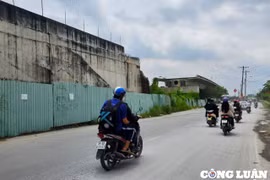 Dự án chậm tiến độ ở TP Thủ Đức: Nơi thành bãi rác, chỗ cây dại mọc hoang