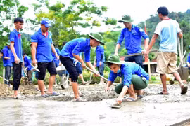 Đào tạo, bồi dưỡng, nâng cao năng lực quản lý, điều phối hoạt động tình nguyện