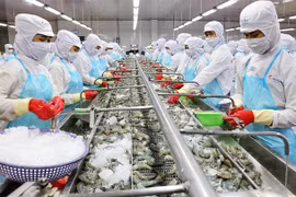 Năm 2021 Mỹ nhập khẩu hơn 88 nghìn tấn tôm Việt Nam