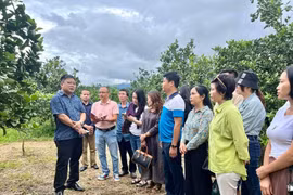 Hội Nhà báo Nghệ An tổ chức chuyến đi thực tế cho phóng viên tại miền núi huyện Con Cuông