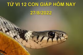 Tử vi hôm nay 27/8/2022, thứ 7 ngày 1/8 âm lịch của 12 con giáp