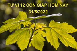 Tử vi 31/5/2022 hôm nay, thứ 3 ngày 2/5 âm lịch của 12 con giáp