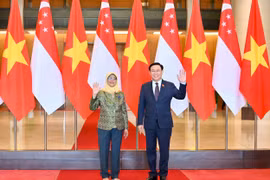 Quan hệ Đối tác Chiến lược Việt Nam - Singapore đang phát triển hết sức tốt đẹp