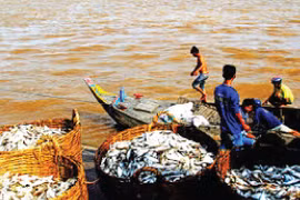 Nghịch lý