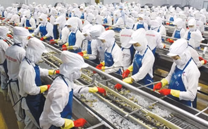 Nga được đánh giá đầy tiềm năng cho các mặt hàng nông, lâm, thủy sản của Việt Nam. (Ảnh TL)