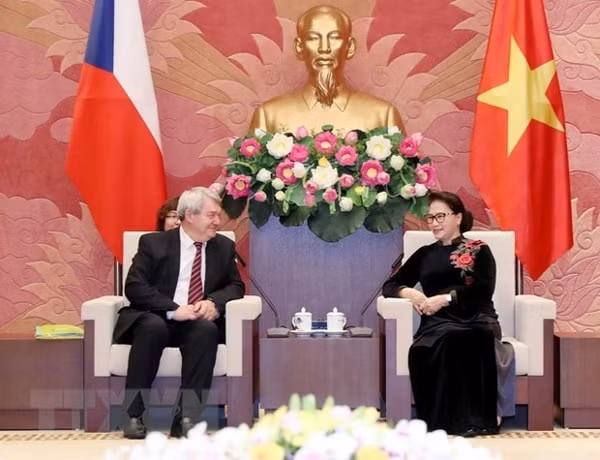 Chủ tịch Quốc hội Nguyễn Thị Kim Ngân tiếp Phó Chủ tịch Hạ viện Cộng hòa Séc Vojtech Filip. Ảnh: TTXVN