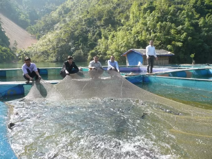 Nuôi cá lồng - hướng phát triển kinh tế mới của bà con xã Tà Mít huyện Tân Uyên.