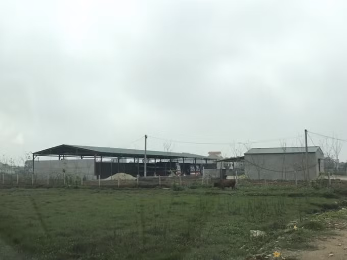 Tại sao dự án vi phạm của Công ty TNHH Tiến Tiến ở Nga Sơn lại được UBND tỉnh Thanh Hóa “ưu ái” đến như vậy?
