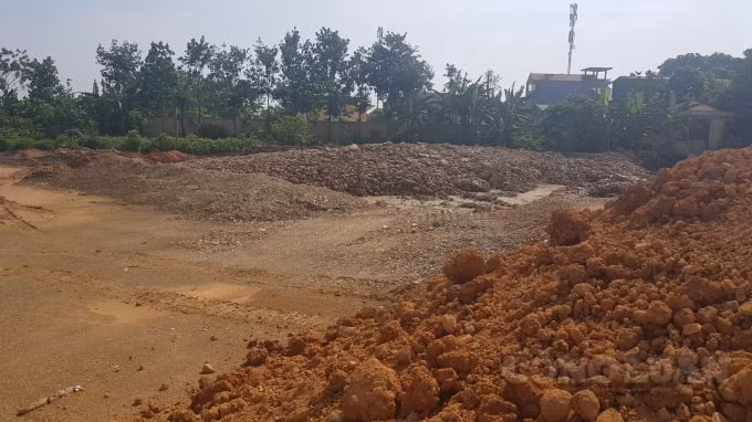 Khu đấu giá quyền sử dụng đất tại khu Đầm Thùng