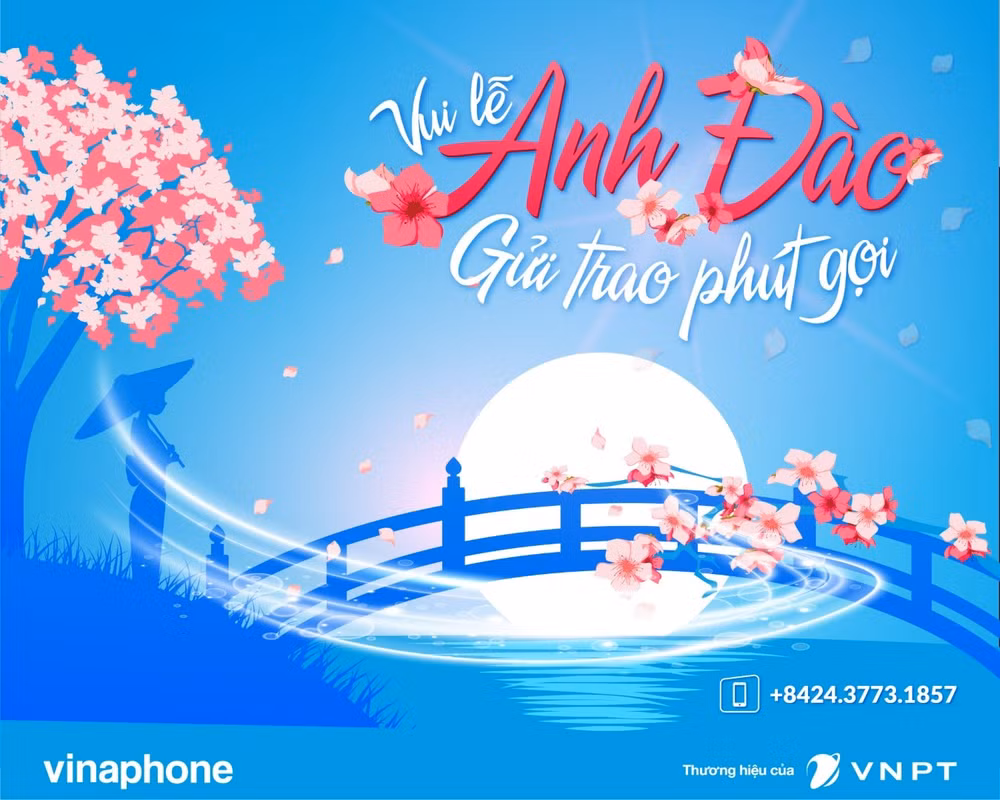 VinaPhone giam 25% cuoc cho khach hang xem hoa anh dao