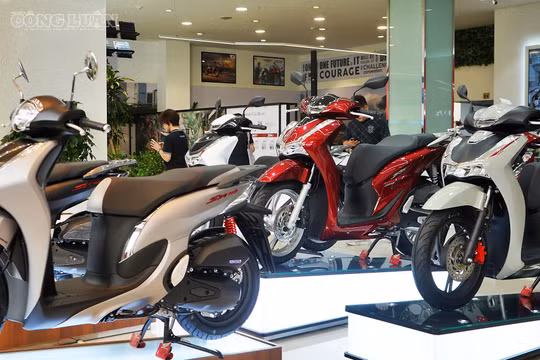 Xe máy xăng Honda bất ngờ tăng giá niêm yết đồng loạt