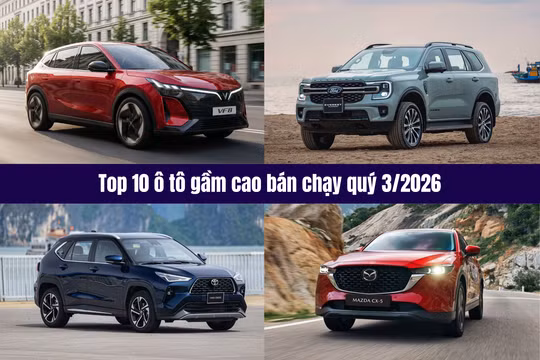 Top 10 ô tô gầm cao bán chạy quý 3/2026: VinFast VF 8 và Ford Everest góp mặt
