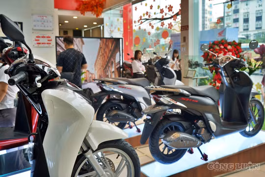 Toàn bộ ô tô và xe máy Honda tại Việt Nam đều tương thích xăng E10