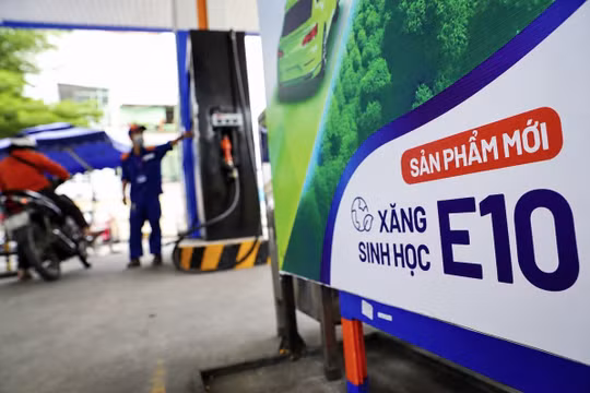 Phản hồi của các hãng xe xoá tan nỗi lo sử dụng xăng sinh học E10