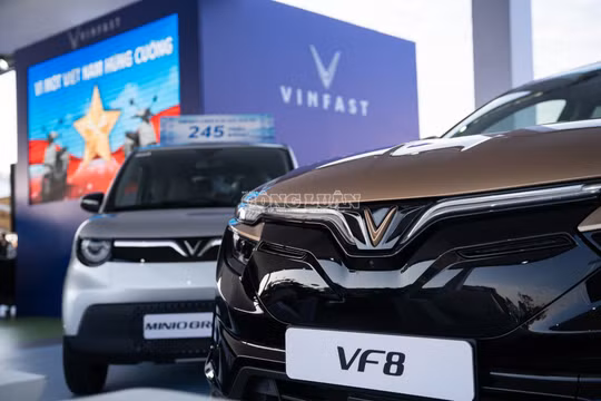 Thị trường ô tô điện hoá sôi động nhưng cơ hội không dành cho tất cả