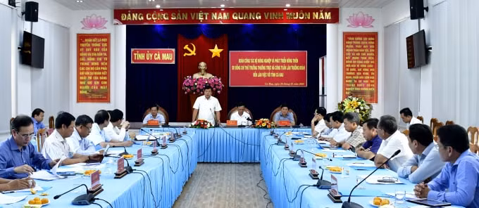Quang cảnh buổi làm việc.