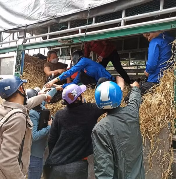 Dưa hấu được chở từ Tây Nguyên về Nghệ An bán