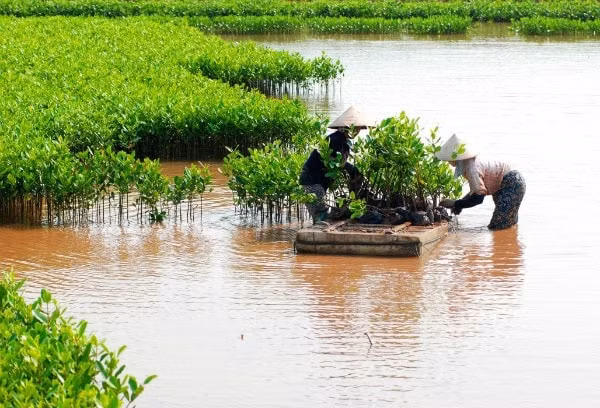 Một trong những mục tiêu của lập quy hoạch bảo vệ môi trường là phải thiết lập các khu bảo vệ, bảo tồn thiên nhiên và đa dạng sinh học. Ảnh minh họa
