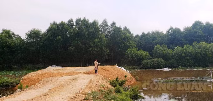 Bà Kiều chỉ tài sản của bà bị chính quyền xã Hải Thọ đập phá, xô đổ xuống ao.
