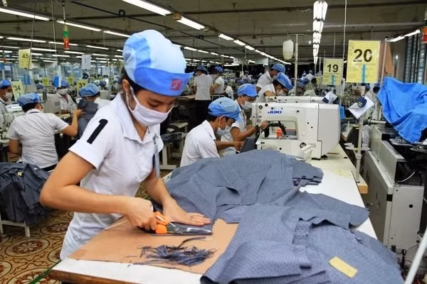Tổng điều tra kinh tế năm 2021 nhằm thu thập thông tin về lao động và thu nhập của người lao động… Ảnh minh họa
