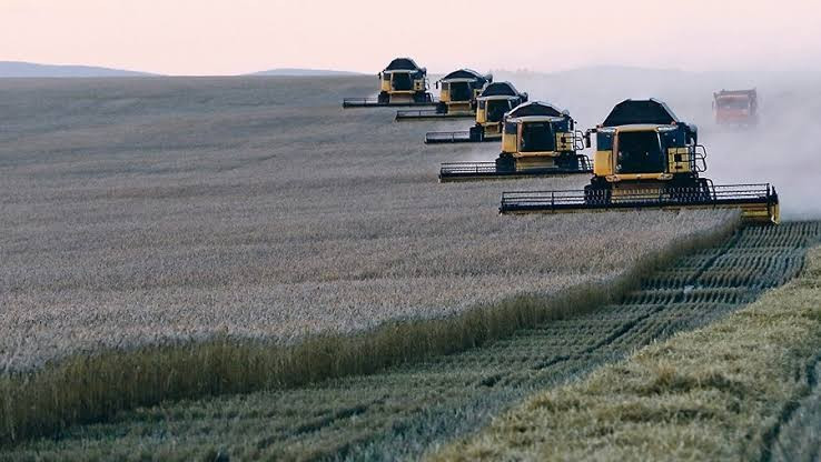 Nga và Ukraine chiếm hơn một phần tư tổng lượng lúa mì xuất khẩu toàn cầu. Ảnh minh họa: Theo Western Producer. images-42.jpg