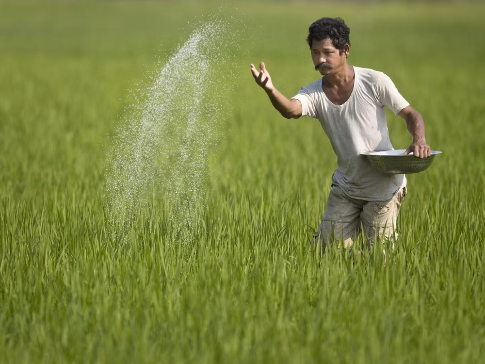 indian-farmer.jpg