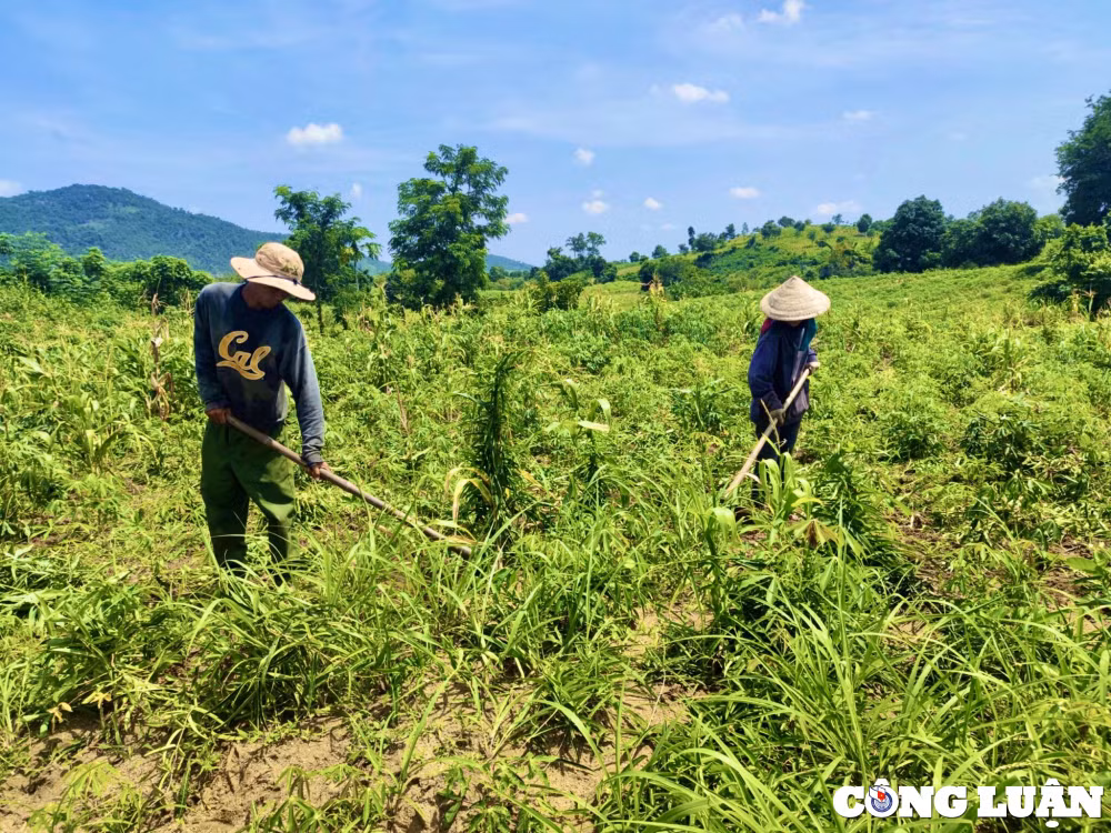 bat cap trong dau tu xay dung cong trinh thuy loi 200 ty dan moi co cho nuoc sach nuoc tuoi hinh 4