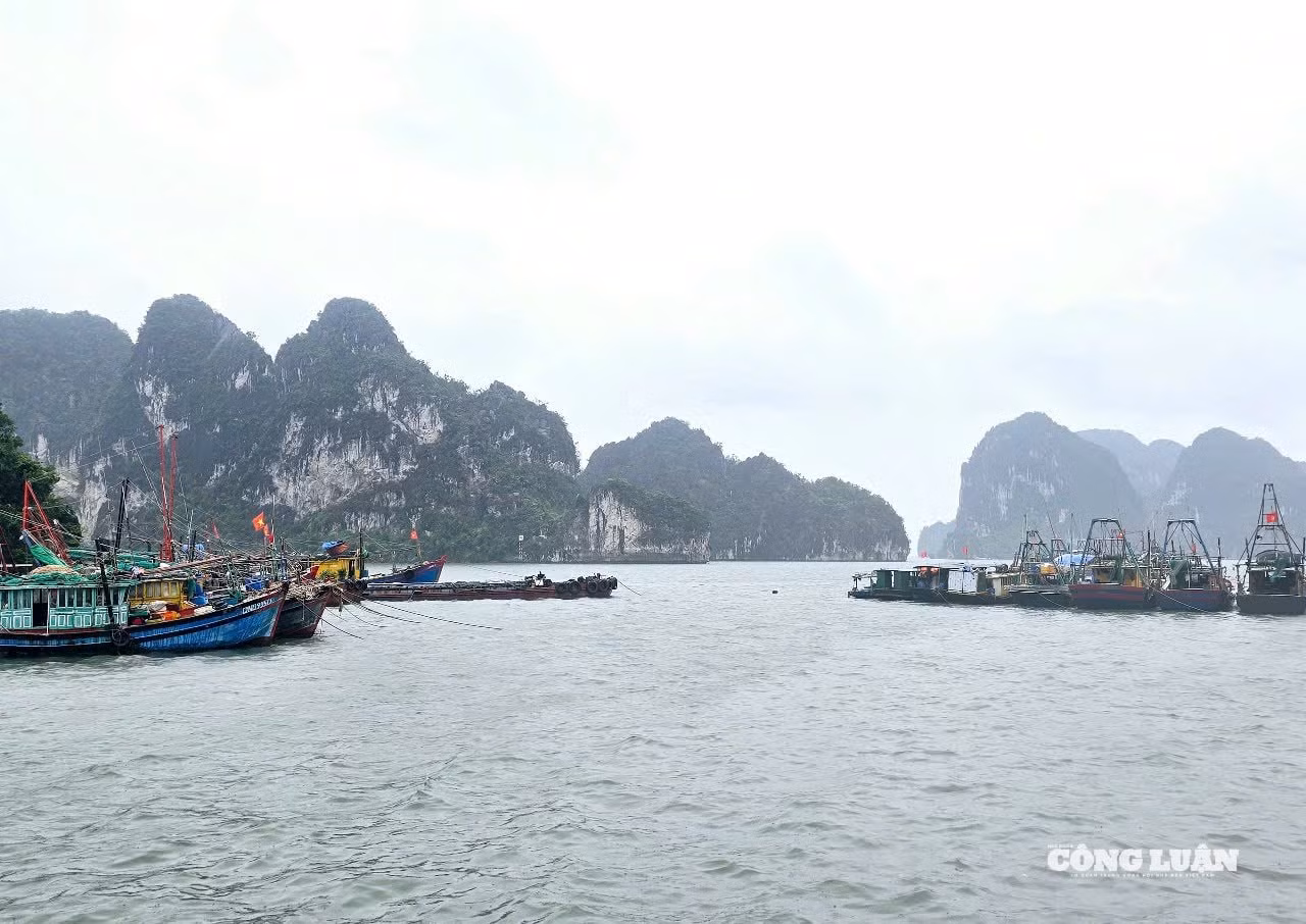 anh-2-phong-chong-bao-so-3(1).jpg