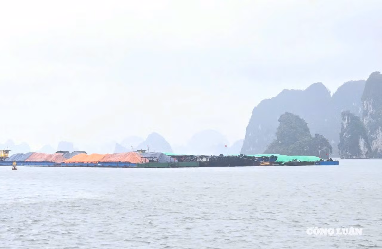 anh-5-phong-chong-bao-so-3.jpg