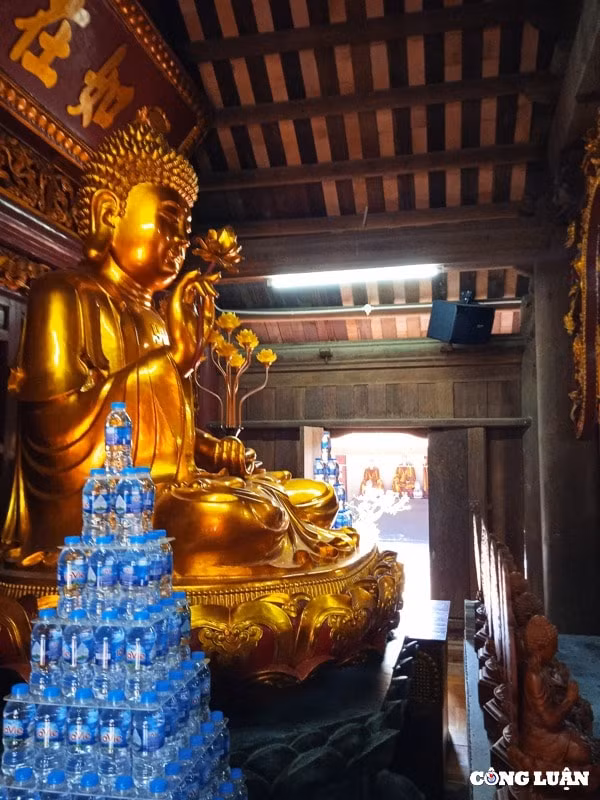 tham chua dau de nhat danh lam xu bac hinh 8