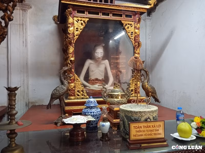 tham chua dau de nhat danh lam xu bac hinh 10