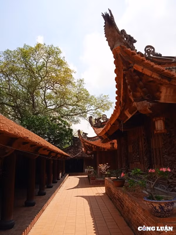 tham chua dau de nhat danh lam xu bac hinh 5