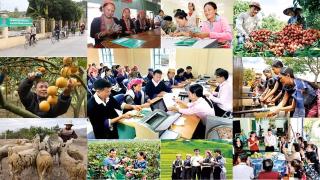 mo rong va doi moi phuong thuc thuc hien chinh sach xa hoi hinh 1
