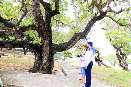 nguyen hong vinh suy ngam ve hanh phuc rieng chung hinh 5