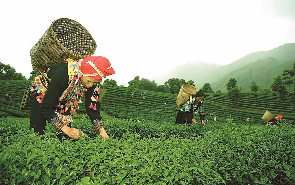 yen bai nang cao chat luong tieu chi xay dung nong thon moi tren dia ban tinh hinh 1