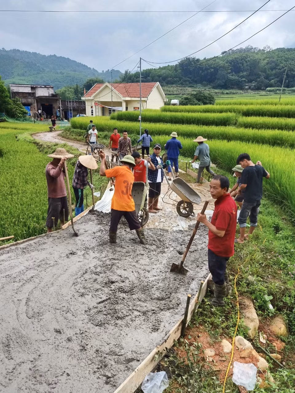 binh lieu se dat chuan nong thon moi nam 2022 hinh 2