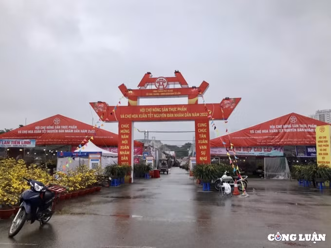 dao rung xuong pho sale sap san van vang khach mua hinh 5