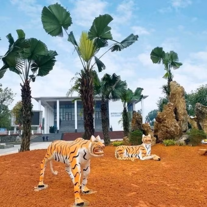 tao hinh ho tet o cac tinh noi nao an tuong nhat hinh 4