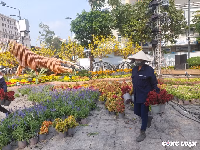 duong hoa nguyen hue 2022 dang dan lo dien hinh 8