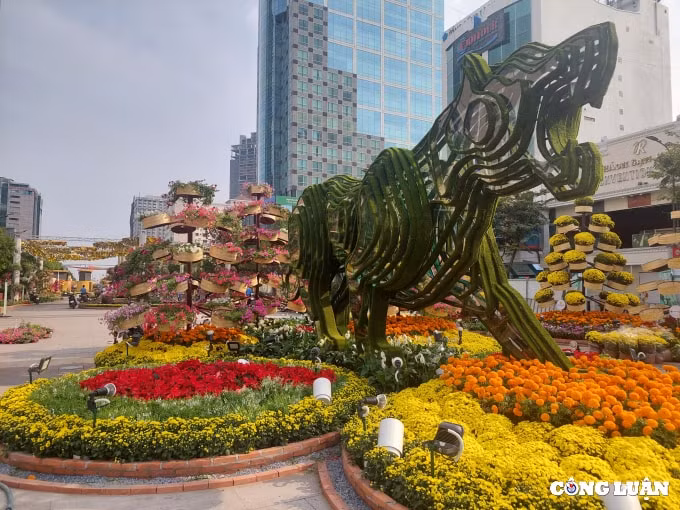 duong hoa nguyen hue 2022 dang dan lo dien hinh 2