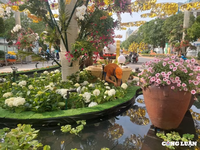 duong hoa nguyen hue 2022 dang dan lo dien hinh 6