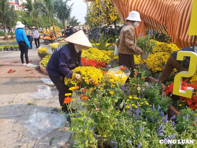 duong hoa nguyen hue 2022 dang dan lo dien hinh 9