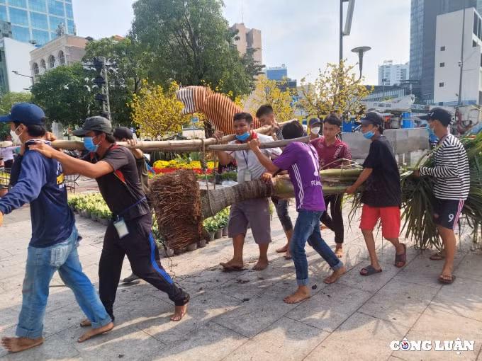 duong hoa nguyen hue 2022 dang dan lo dien hinh 10