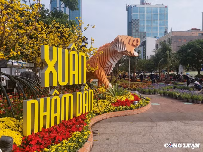 duong hoa nguyen hue 2022 dang dan lo dien hinh 1