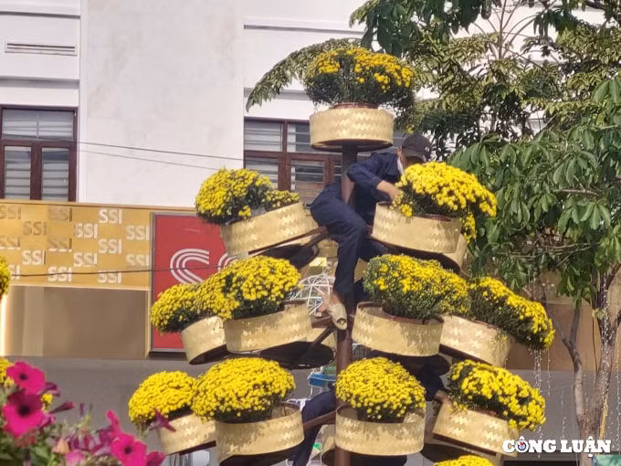 duong hoa nguyen hue 2022 dang dan lo dien hinh 7